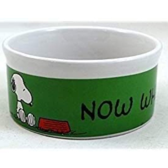 Peanuts Cat Peanuts Snoopy And Woodstock Dogs Bowl Poshmark